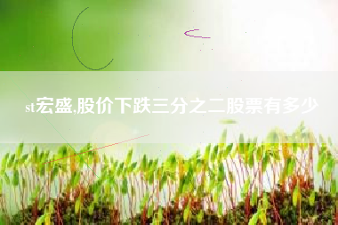 st宏盛,股价下跌三分之二股票有多少