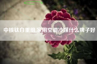 中核钛白重组,家用空调冷媒什么牌子好