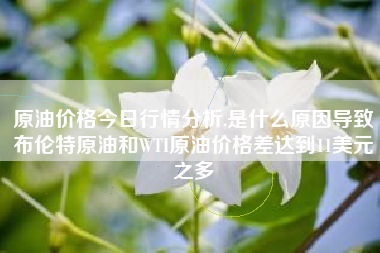 原油价格今日行情分析,是什么原因导致布伦特原油和WTI原油价格差达到11美元之多