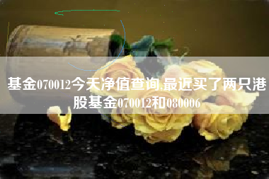 基金070012今天净值查询,最近买了两只港股基金070012和080006