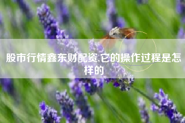 股市行情鑫东财配资,它的操作过程是怎样的