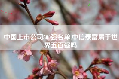 中国上市公司500强名单,中信泰富属于世界五百强吗