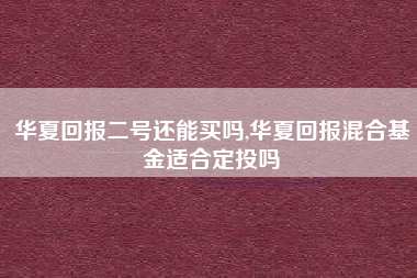 华夏回报二号还能买吗,华夏回报混合基金适合定投吗