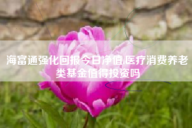 海富通强化回报今日净值,医疗消费养老类基金值得投资吗