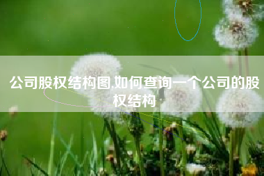 公司股权结构图,如何查询一个公司的股权结构
