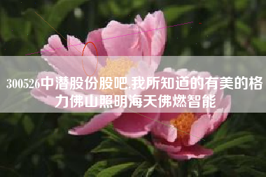 300526中潜股份股吧,我所知道的有美的格力佛山照明海天佛燃智能