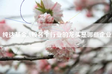 纯达基金,A股各个行业的龙头是哪些企业