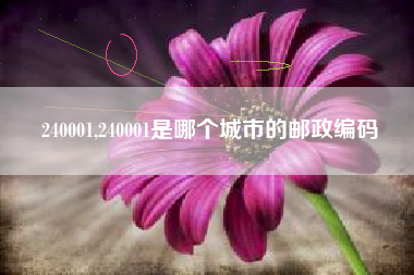 240001,240001是哪个城市的邮政编码