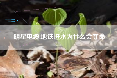 明星电缆,地铁进水为什么会夺命