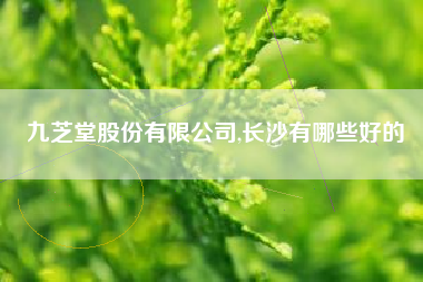 九芝堂股份有限公司,长沙有哪些好的