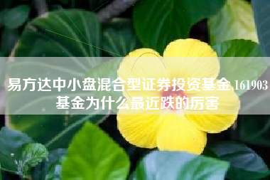 易方达中小盘混合型证券投资基金,161903基金为什么最近跌的厉害