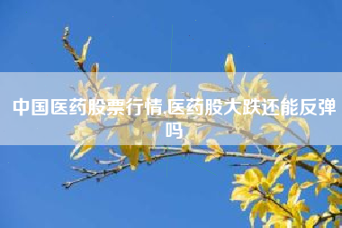 中国医药股票行情,医药股大跌还能反弹吗