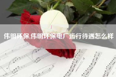 伟明环保,伟明环保电厂运行待遇怎么样