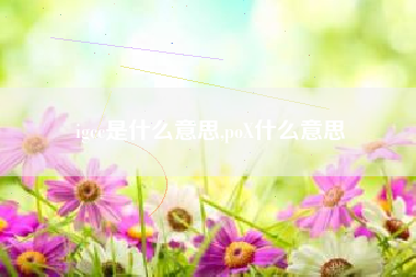 igcc是什么意思,poX什么意思