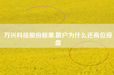 万兴科技股份股票,散户为什么还高位接盘