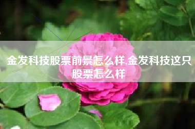 金发科技股票前景怎么样,金发科技这只股票怎么样