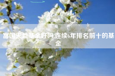 富国天益基金好吗,连续6年排名前十的基金