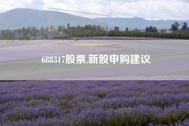 688317股票,新股申购建议