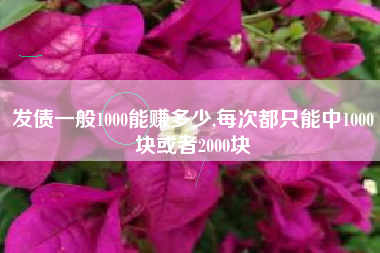 发债一般1000能赚多少,每次都只能中1000块或者2000块