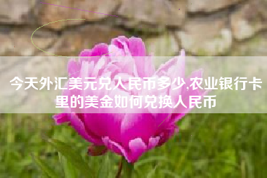 今天外汇美元兑人民币多少,农业银行卡里的美金如何兑换人民币
