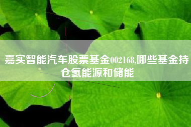 嘉实智能汽车股票基金002168,哪些基金持仓氢能源和储能