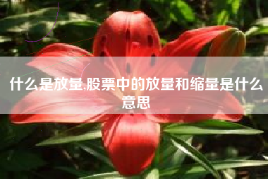 什么是放量,股票中的放量和缩量是什么意思