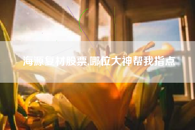 海源复材股票,哪位大神帮我指点