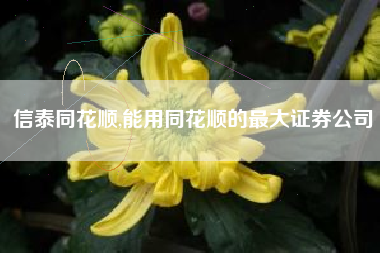 信泰同花顺,能用同花顺的最大证券公司