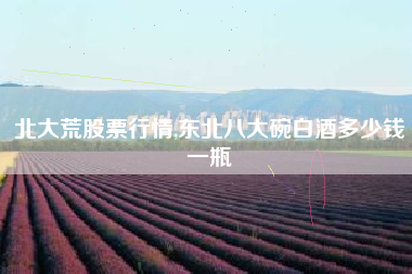 北大荒股票行情,东北八大碗白酒多少钱一瓶