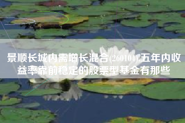 景顺长城内需增长混合(260104),五年内收益率靠前稳定的股票型基金有那些