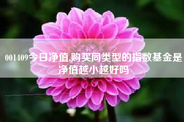 001409今日净值,购买同类型的指数基金是净值越小越好吗