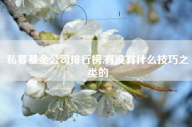 私募基金公司排行榜,有没有什么技巧之类的