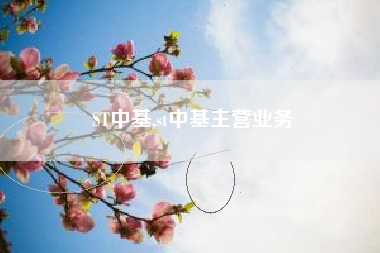 ST中基,st中基主营业务