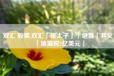 双汇 股票,双汇「废太子」「炮轰」其父「偷漏税2亿美元」