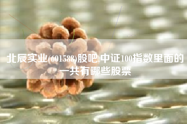 北辰实业(601588)股吧,中证100指数里面的一共有哪些股票