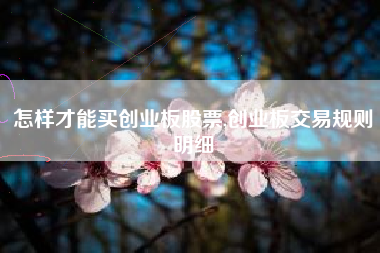 怎样才能买创业板股票,创业板交易规则明细