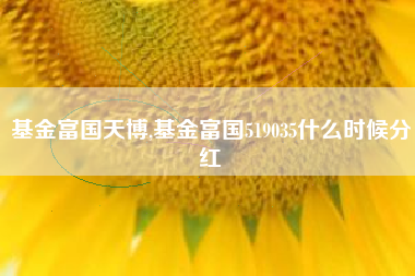 基金富国天博,基金富国519035什么时候分红