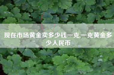 现在市场黄金卖多少钱一克,一克黄金多少人民币