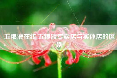 五粮液在线,五粮液专卖店与实体店的区别