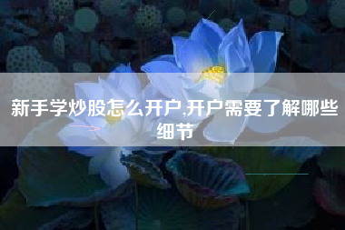 新手学炒股怎么开户,开户需要了解哪些细节
