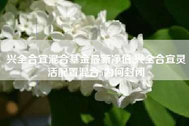 兴全合宜混合基金最新净值,兴全合宜灵活配置混合a为何封闭