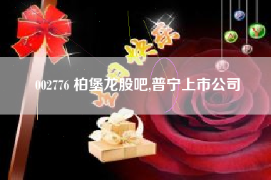 002776 柏堡龙股吧,普宁上市公司