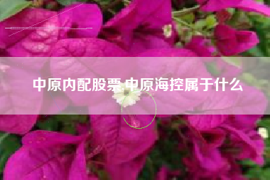中原内配股票,中原海控属于什么