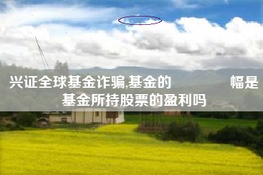 兴证全球基金诈骗,基金的📈幅是基金所持股票的盈利吗