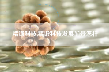 精锻科技,精锻科技发展前景怎样
