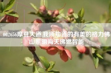 002656摩登大道,我所知道的有美的格力佛山照明海天佛燃智能
