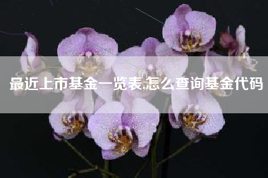最近上市基金一览表,怎么查询基金代码