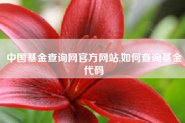 中国基金查询网官方网站,如何查询基金代码