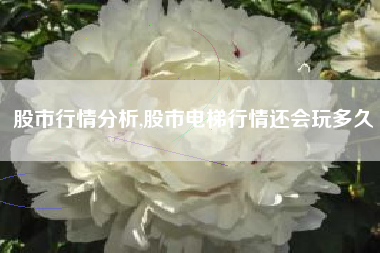 股市行情分析,股市电梯行情还会玩多久