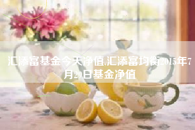 汇添富基金今天净值,汇添富均衡2015年7月29日基金净值